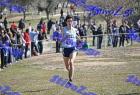 2012cross_270
