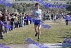 2012cross_274