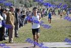 2012cross_280
