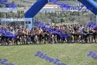 2012cross_295
