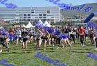2012cross_300