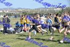 2012cross_301