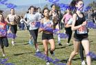 2012cross_318