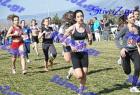 2012cross_320