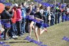 2012cross_340