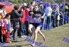 2012cross_341