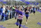 2012cross_343