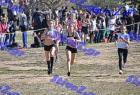 2012cross_345