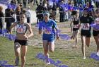 2012cross_353