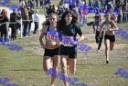 2012cross_354