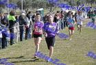 2012cross_360