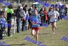 2012cross_361