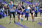 2012cross_370