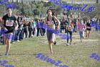 2012cross_371