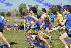 2012cross_388