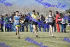 2012cross_391