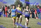 2012cross_392