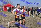 2012cross_401