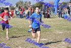 2012cross_407