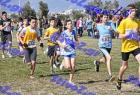 2012cross_408
