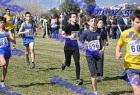2012cross_410