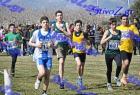 2012cross_411