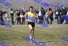 2012cross_417