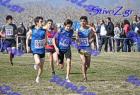 2012cross_422