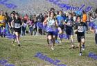 2012cross_425