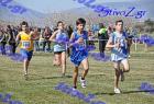 2012cross_432