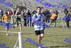 2012cross_434