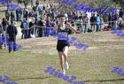 2012cross_439