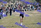 2012cross_440