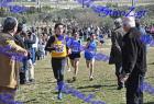 2012cross_449