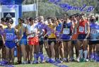 2012cross_469