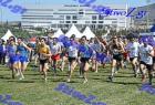 2012cross_473