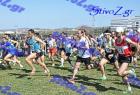 2012cross_474