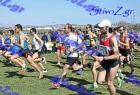 2012cross_475