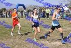 2012cross_482
