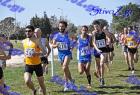 2012cross_485