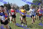 2012cross_486