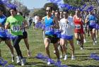 2012cross_489