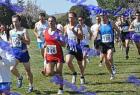 2012cross_490