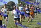 2012cross_492
