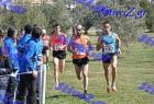 2012cross_505