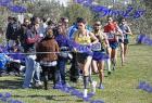 2012cross_507