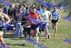 2012cross_508