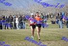 2012cross_511