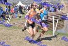 2012cross_512