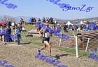2012cross_515